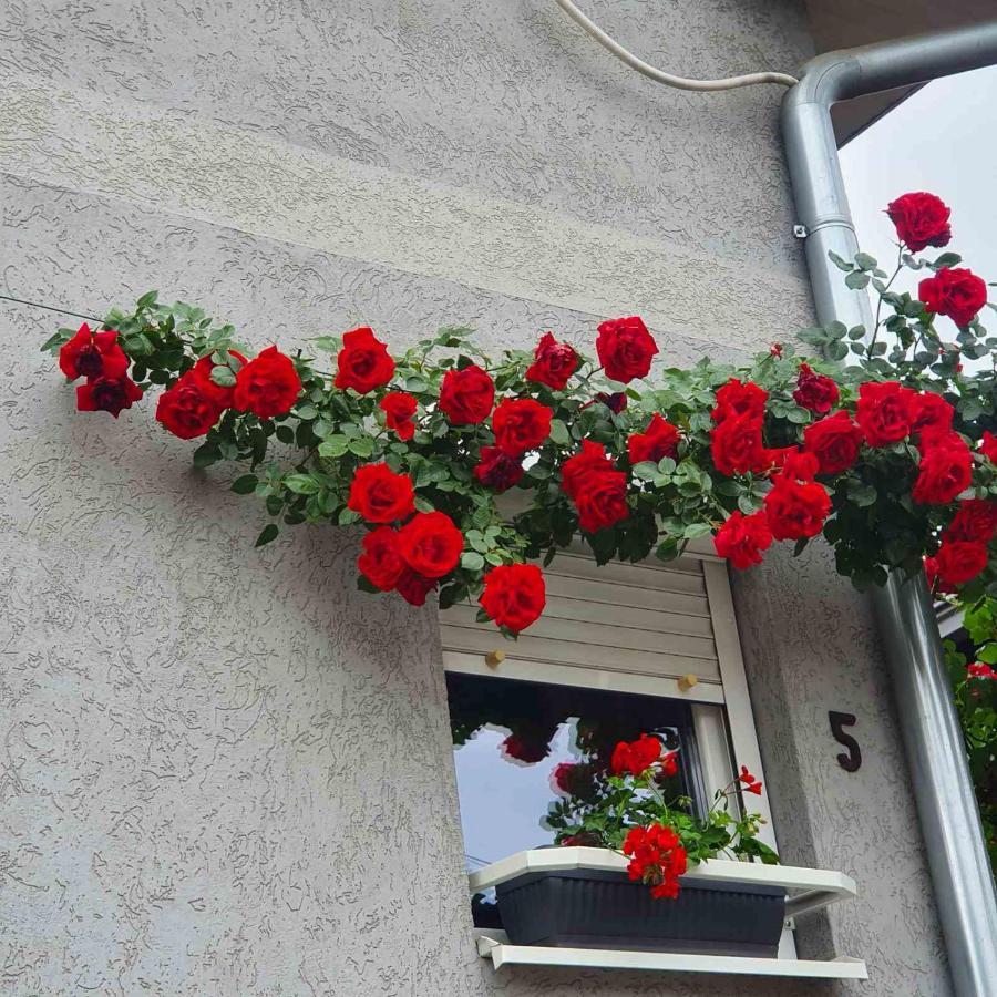 Fortress Apartments Ni מראה חיצוני תמונה