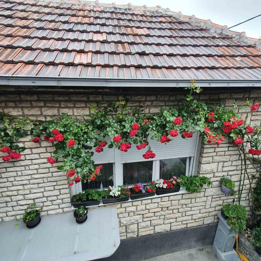 Fortress Apartments Ni מראה חיצוני תמונה